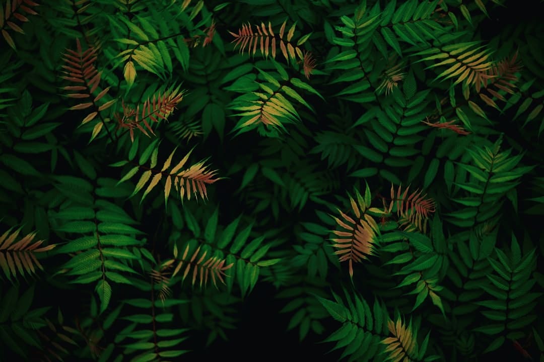 《归队》福庆角色介绍